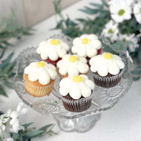 Assortiment Cupcakes - Daisies