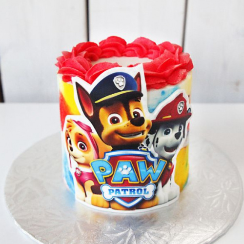 Gâteau Patrouille Les Glaceurs